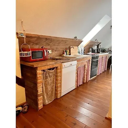 Schwarzer Kater Ferienhaus