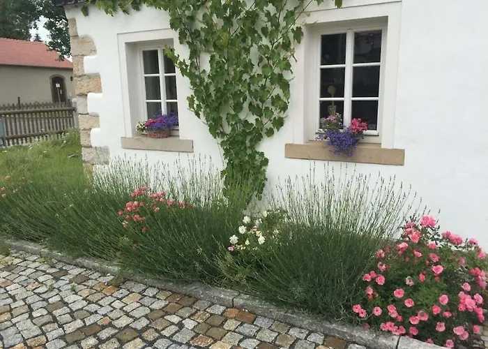 بيت للعطل Schwarzer Kater