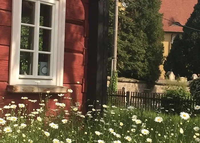 بيت للعطل Schwarzer Kater *