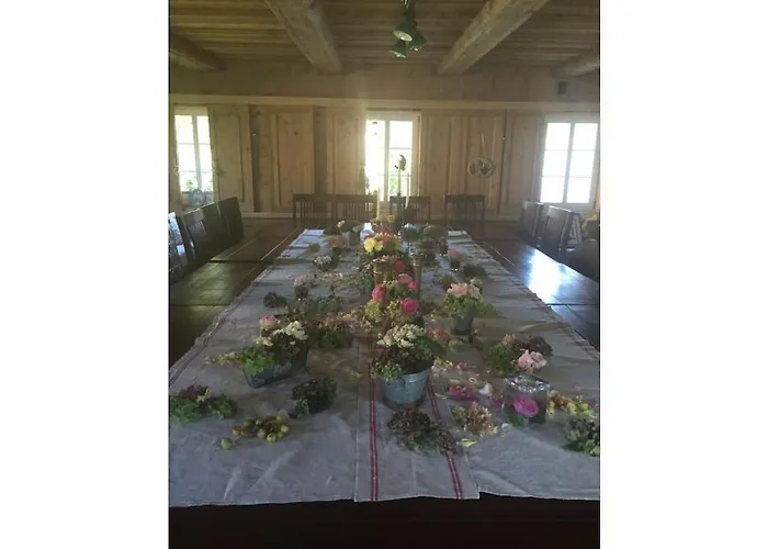 Schwarzer Kater * غروسشوناو